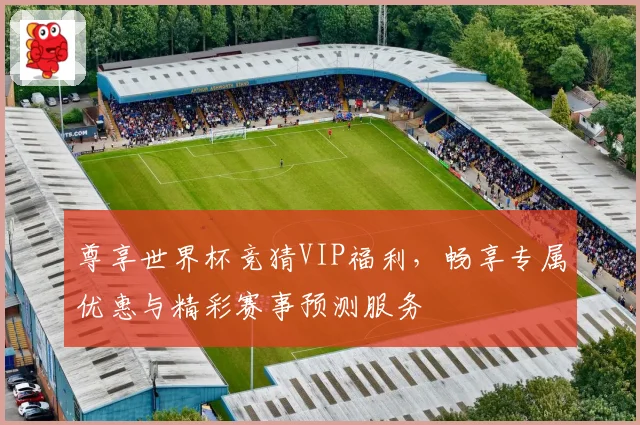 尊享世界杯竞猜VIP福利，畅享专属优惠与精彩赛事预测服务