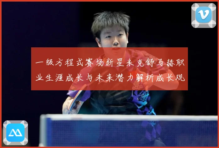 一级方程式赛场新星米克舒马赫职业生涯成长与未来潜力解析成长观察