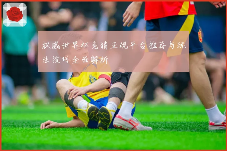 权威世界杯竞猜正规平台推荐与玩法技巧全面解析